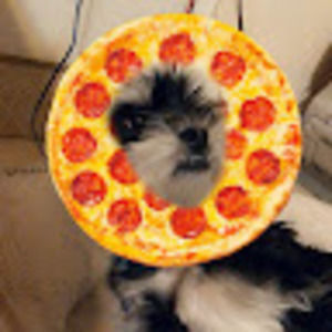 Meet your Posher, Ricardo